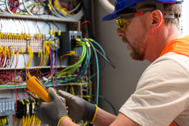 Best Electric Panel Repair  in Orwigsburg, PA